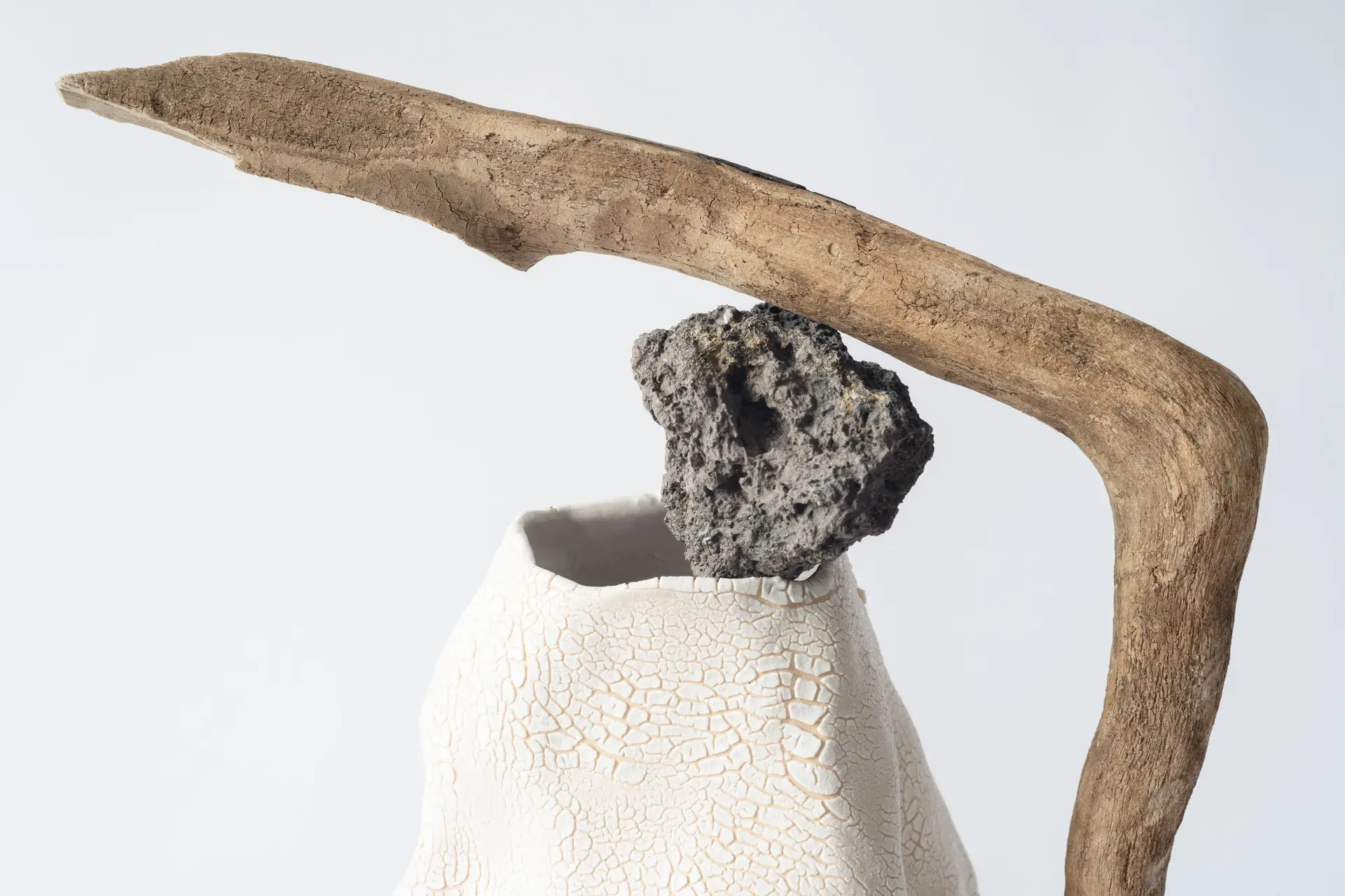Natural Forms in Contemporary Interiors